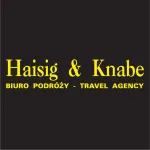 Haisig Seguridad Global, C.A company logo