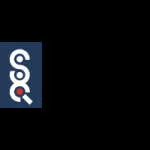 Software International company logo