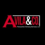 corporacion avila company logo