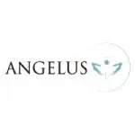Inversiones Angelus Health, C.A. company logo