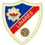 Ayerin Linares company logo