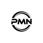 PMN HOLDING company logo