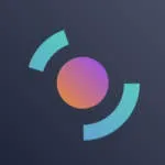 Holepunch company logo