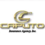 CAPUTO ASOCIADOS CONSULTORIA DE GERENCIA, C.A. company logo