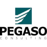 Pegaso Consulting company logo